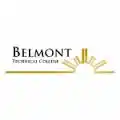 Belmont College
