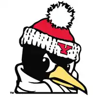 Youngstown State University