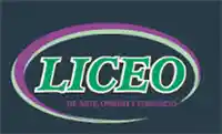 Liceo de Arte-Dise-O y Comercio