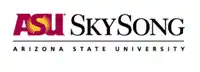 Arizona State University Digital Immersion